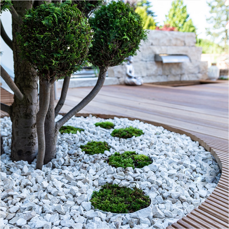 Arbre taillé en boule, gravier blanc, tapis de mousse verte et bordure de terrasse en bois cintré. Au fond, une cascade murale moderne.