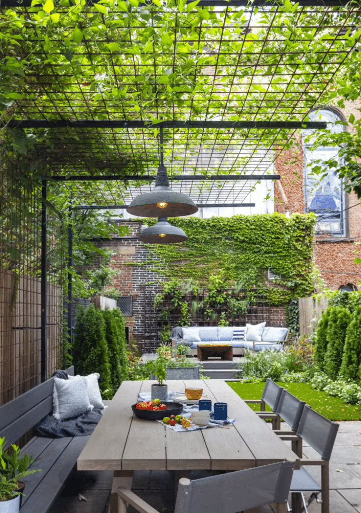 Terrasse urbaine avec pergola végétalisée, table à manger en bois et salon de jardin bleu sous un mur de lierre.