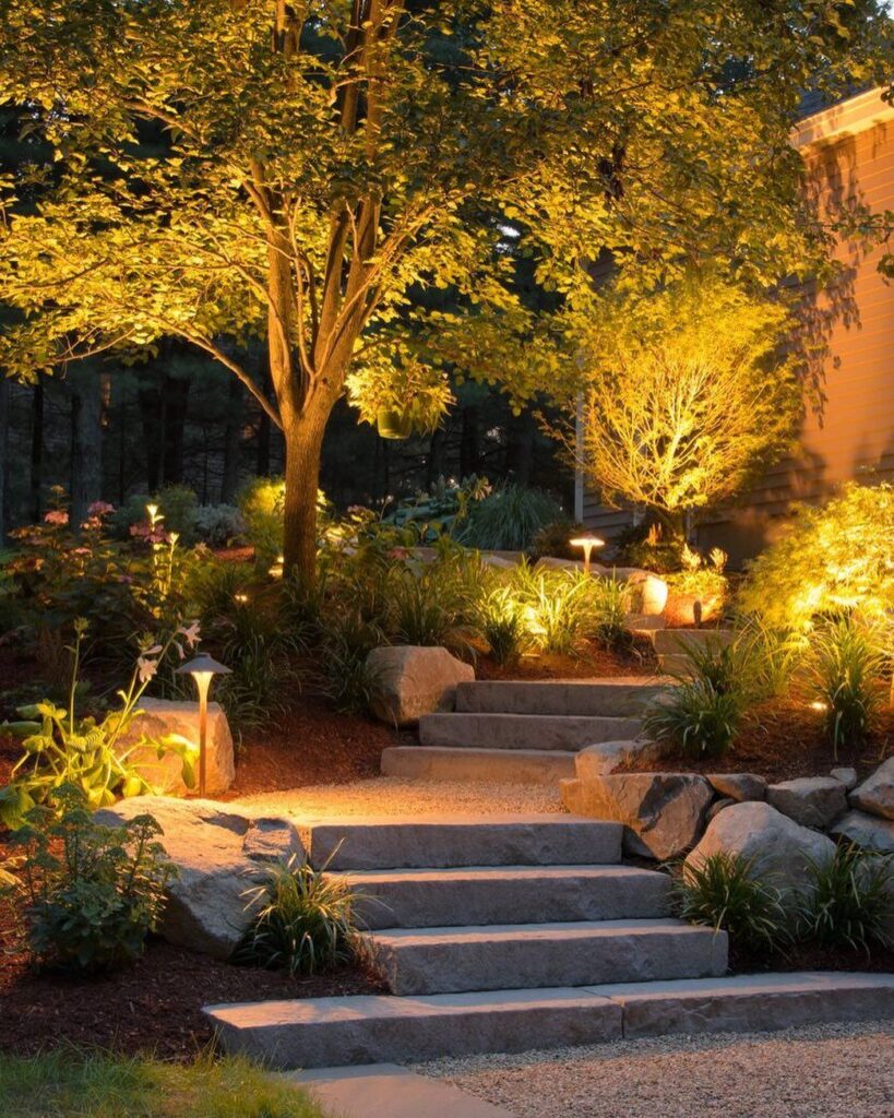 Escalier de jardin en pierre avec éclairage extérieur chaleureux sous de grands arbres feuillus la nuit.