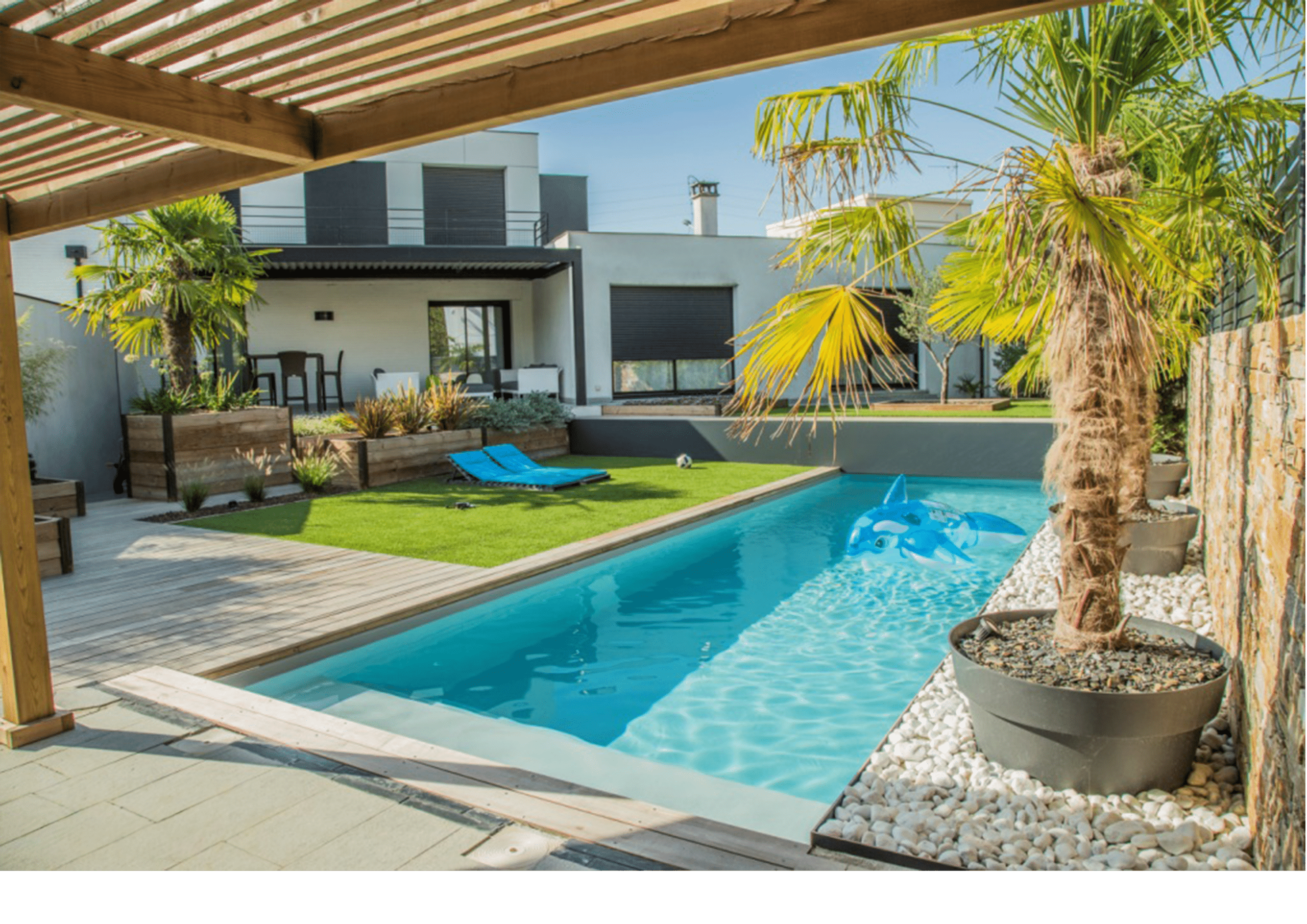 Piscine moderne avec terrasse en bois, pergola, gazon synthétique et palmier devant une maison contemporaine.