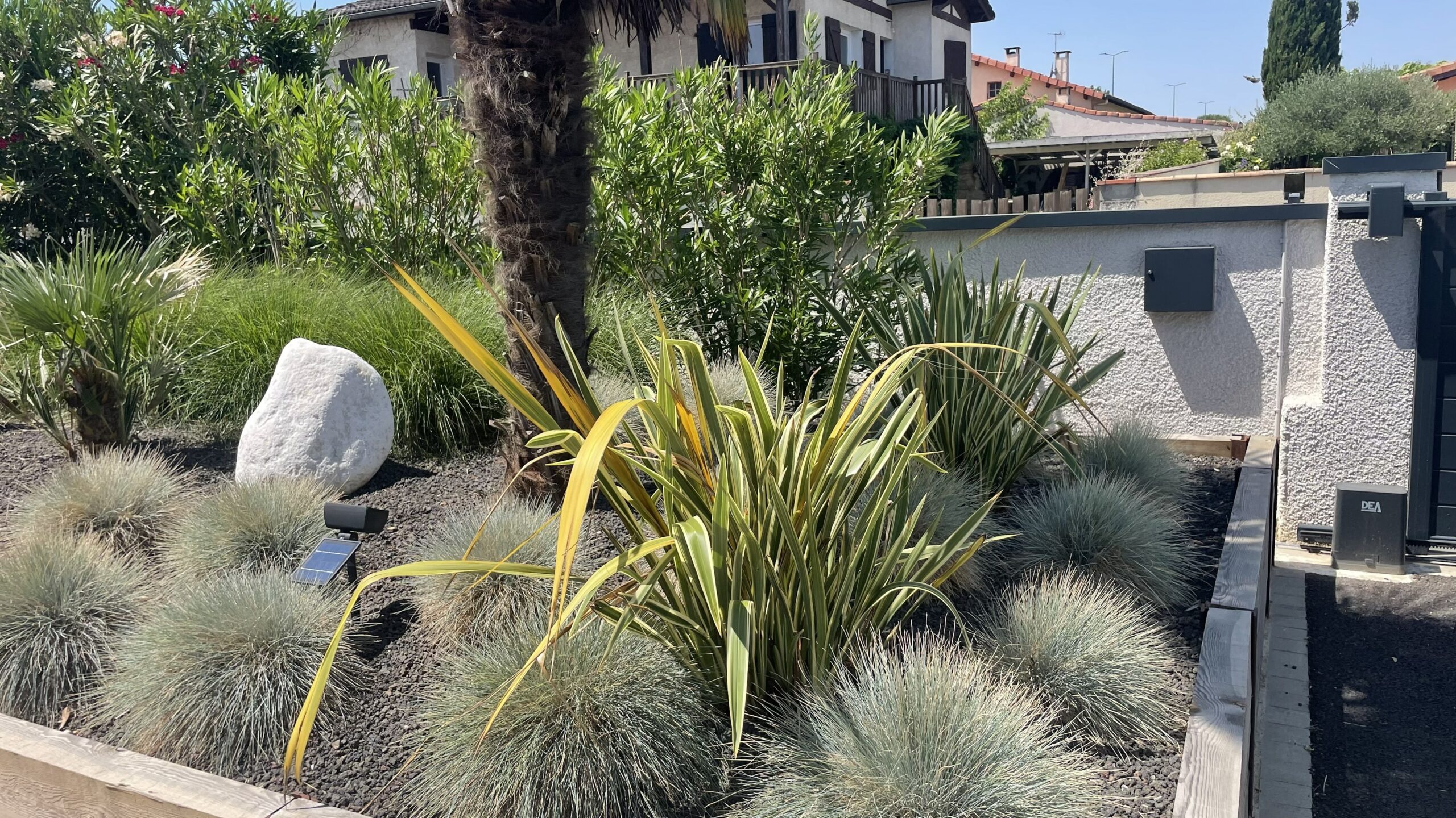 Jardin avec Phormium jaune, fétuques bleues et rocher blanc sur gravier noir près d'un portail DEA.